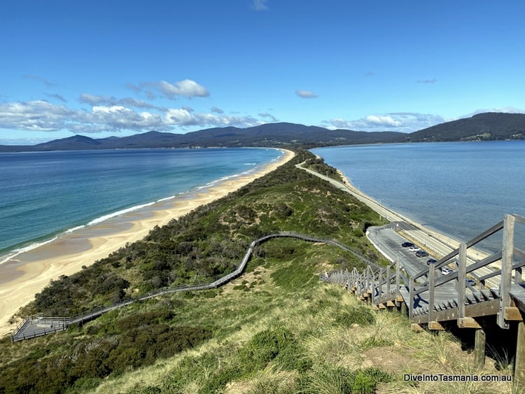Top 16 Best Things To Do On Bruny Island!