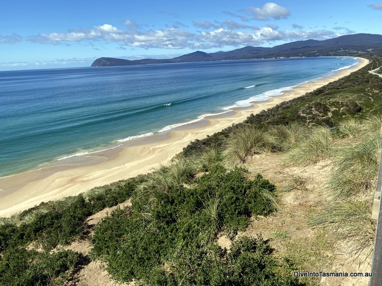 Bruny Island The Neck Beach