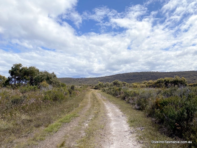 Labillardiere Peninsula track