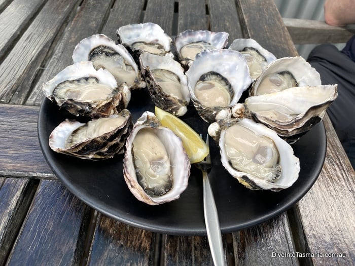 Bruny Island oysters