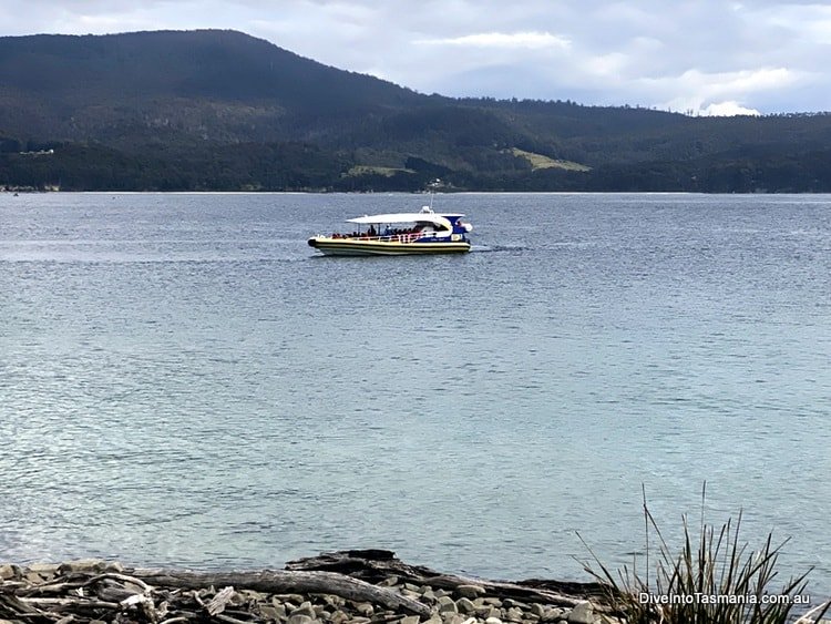 Top 6 Bruny Island Tours: Best Bruny Island Day Trip For Cruise, Food And Fun