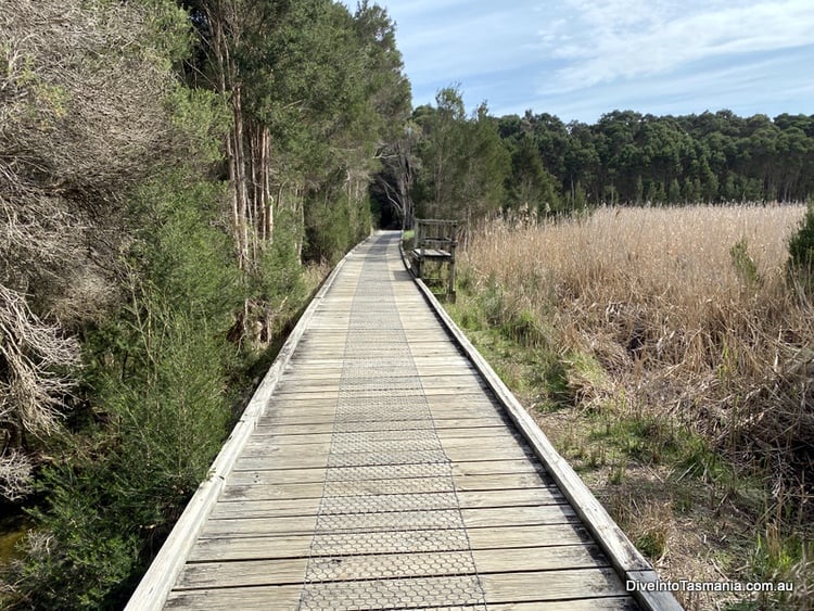 Tamar Island Wetlands Centre